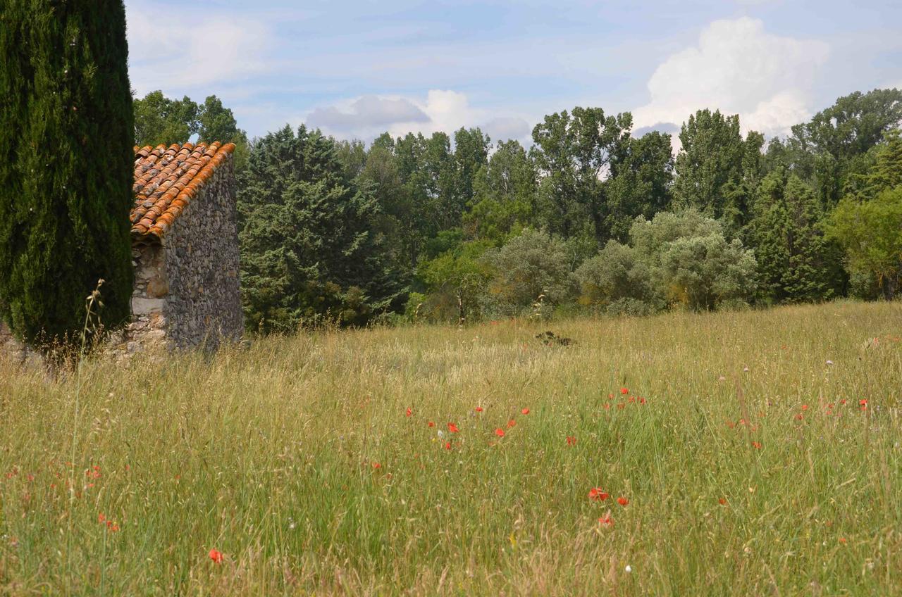 Domaine Shambala - Maison D'Hote En Provence - Piscine Chauffee Velaux Екстер'єр фото